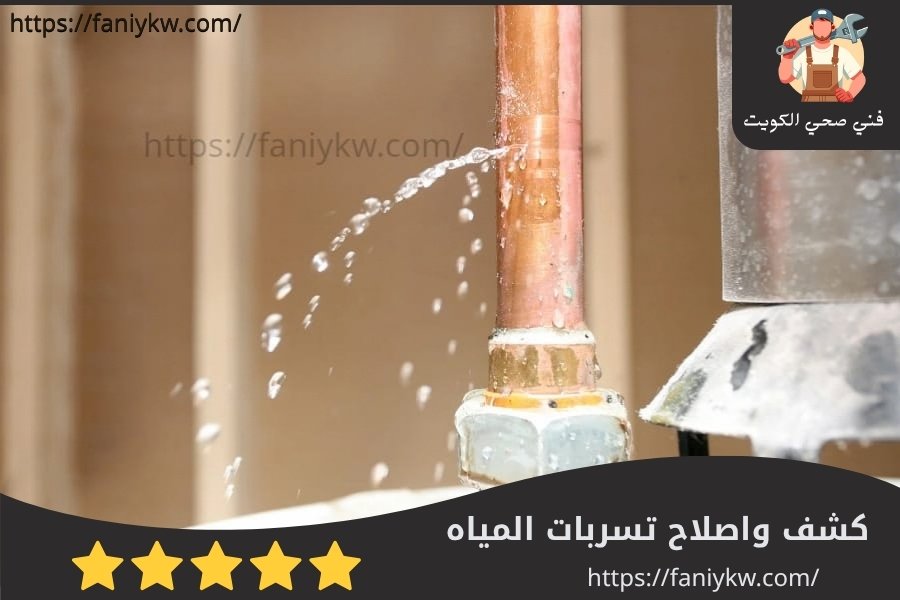 كشف وإصلاح تسربات المياه