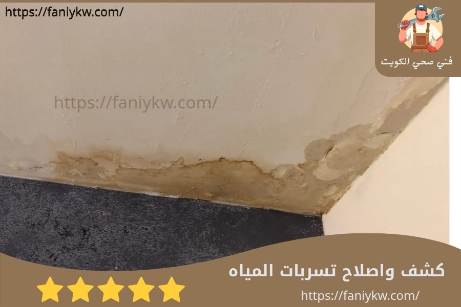 كشف وإصلاح تسربات المياه